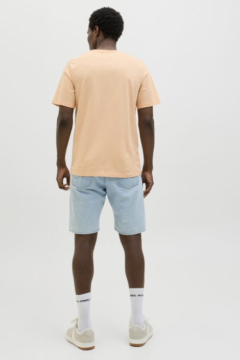 Jack & Jones jjbarbados tee ss crew neck
